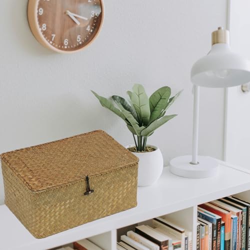 Seagrass Wicker Storage Basket with Lid, Large, Natural - color: Natural, size: 13" x 8.66" x 6.1"
