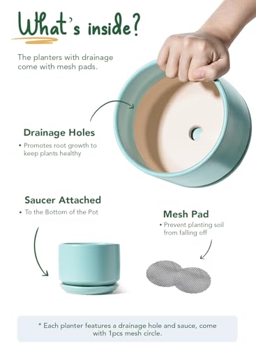 LE TAUCI Ceramic Pots for Plants, 4.3+5.3+6.8 Inch, Set of 3, Turquoise - color: Turquoise, size: 4.3"+5.3"+6.8"