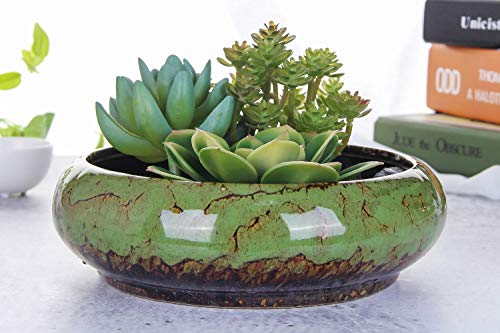 VanEnjoy 7.3 inch Round Large Shallow Succulent Ceramic Glazed Planter Pots with Drainage Hole, Bonsai Pots Garden Decorative Cactus Stand Flower Container (Green) - color: Green