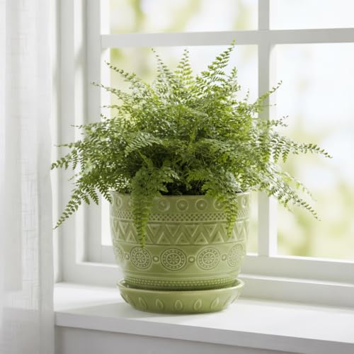 G EPGardening Ceramic Plant Pot, 5.5 Inch, Green - color: Triangle Green