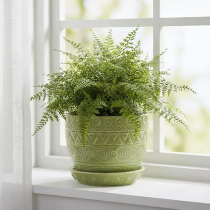 G EPGardening Ceramic Plant Pot, 5.5 Inch, Green - color: Triangle Green