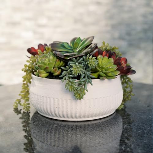 CG Hunter, Round Faux Succulent Arrangement, 12 in, White, Home Decor - size: 12" Round White