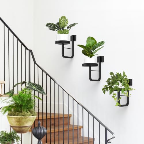 2 Pack Wall Plant Holder for Hanging Planters Indoor Outdoor Black - color: Black-2pcs15cm