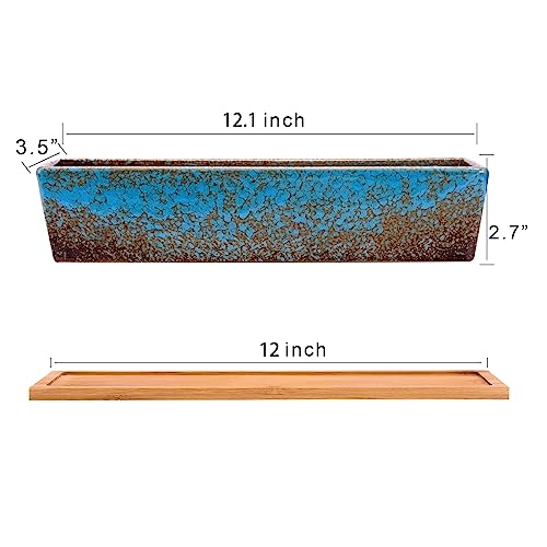 Succulent Pots - 12.1 Inch Large Succulent Planters Pots with Drainage Tray - color: Blue