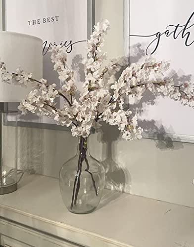 Hewory Large Glass Jug Vase: 12" Clear Tall Farmhouse Decorative Floor Vase - size: 12in