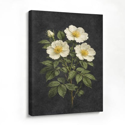 Framed Botanical Wall Art, Moody Rose Canvas Prints, 16x24 Inch - color: Dog Rose