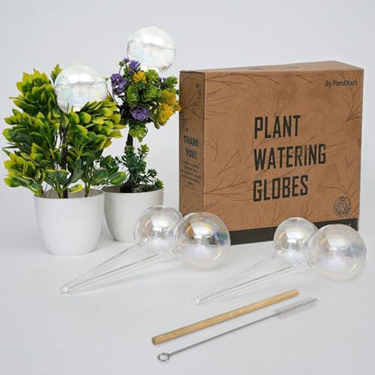 Iridescent Self Watering Globes, Glass Rainbow Plant Watering Globes, Self Watering Planter Insert, Automatic Plant Waterer Indoor (Large-6 Pcs Iridescent, Large) - color: Large - 6 Pcs (Pack of 1)