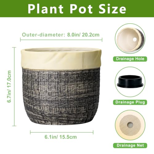 8 Inch Plant Pot, Ceramic Flower Pots, Round Planter, Light Black - color: Light Black, size: 8 Inch
