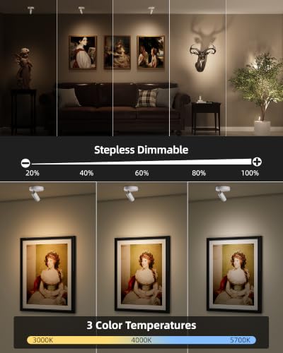 EZVALO Spot Lights Indoor, 5500mAh Rechargeable Picture Lights with Remote, Wireless Mini Art Accent Spotlights with Timer & Dimmable, 3-CCT, Uplights Indoor for Plants, Display (2-Pack-White) - color: White