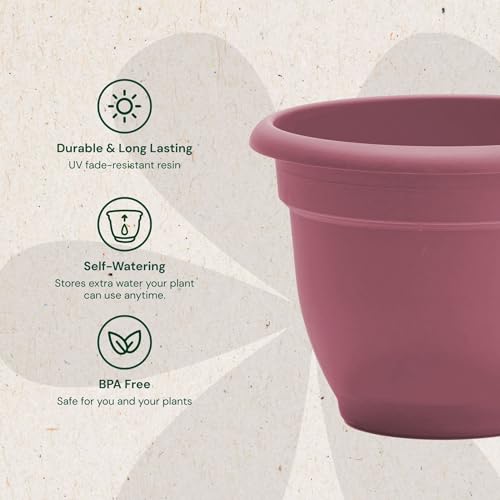 Bloem Ariana 12" Plastic Self-Watering Planter, Dusty Rose, 2-Pack - color: Dusty Rose, size: 12" (Pack of 2)