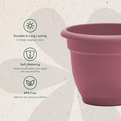 Bloem Ariana 12" Plastic Self-Watering Planter, Dusty Rose, 2-Pack - color: Dusty Rose, size: 12" (Pack of 2)