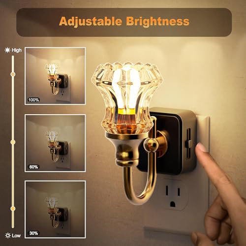 JandCase Night Light, Night Lights Plug into Wall, Glass Floral Nightlight - color: Striped Flower