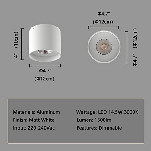 Ceiling Light Fixture, Flush Mount Ceiling Lights LED Dimmable Cylinder Ceiling Light Spot Light for Living Room Hallway Kitchen Dining Room Foyer 3000K 14.5W (White) 2-Pack - color: White 2pack
