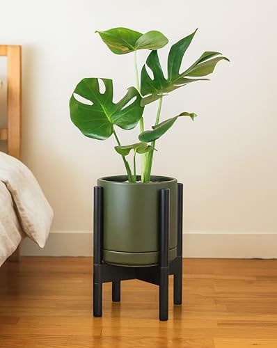 D'vine Dev Ceramic Pot with Ebony Wood Stand, Olive, 8 in, 55-B-M-J - color: Olive Pot + Ebony Stand, size: 8 Inch