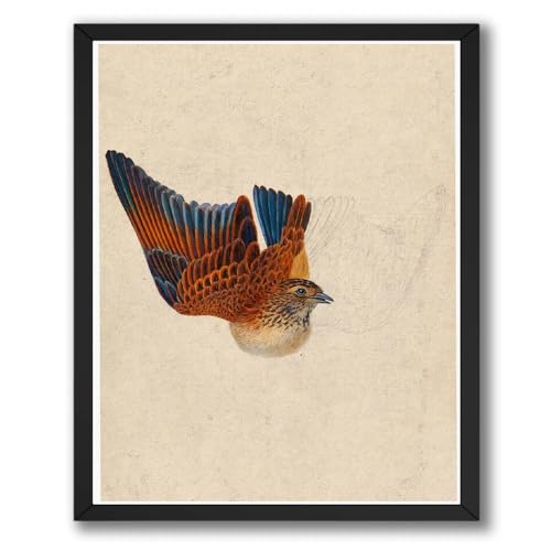 InkFlow Posters Vintage Bird Canvas Poster - Realistic Flying Bird Artwork - Nature Wildlife Illustration Design - Living Room Bedroom Wall Decor - 16x20 ROLLED CANVAS Print - color: Style-01, size: 16"L x 20"W