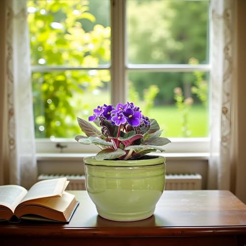 African Violet Pots Self Watering Green 6 inch - color: Green
