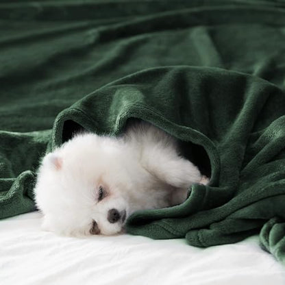 BEAUTEX Fleece Throw Blanket for Couch Sofa Bed Soft Fuzzy Plush - color: Emerald Green, size: Throw