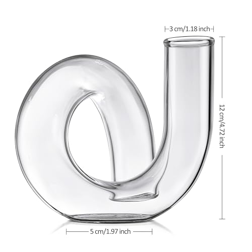 Joeyan Handmade Small Glass Flower Vase,Decorative Geometric Glass Bud Vase - color: Clear