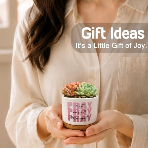 Pink Christian Plant Pots, Pray on It Pray Over It Bible Scripture Ceramic Succulent Flower Planters(No Plants) - color: Psalms a