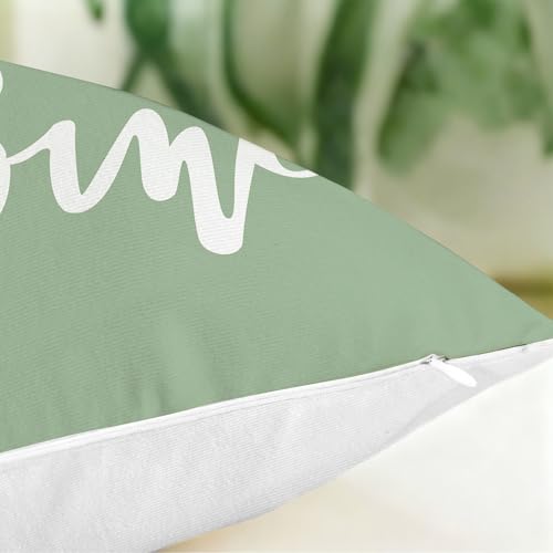 Hexagram Throw Pillow Covers 18x18, Sage Green Outdoor Pillow Covers - color: Sagegreen, size: 18" x 18" (Pack of 4)