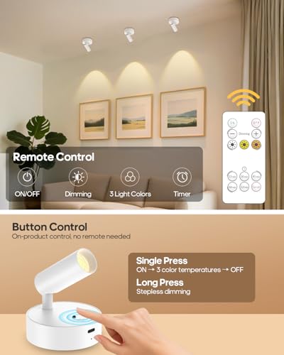 Spotlights Indoor with Remote, 3000Mah Rechargeable Wireless Plant Light - color: White-3000mAh