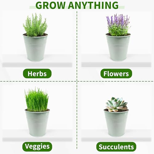 Metal Herb Garden Planter Set with Tray, 3-Pack Green Zinc-Coated Windowsill Plant Pots with Drainage Holes & Handles for Indoor Outdoor Kitchen Garden - color: Green