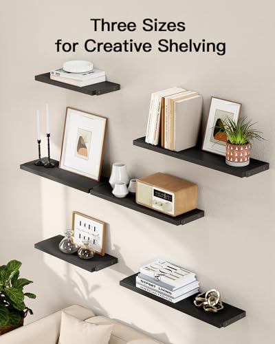 Amada Solid Paulownia Wood Wall Shelves, Medium Size, 6 Pcs, Black - color: Black, size: Medium