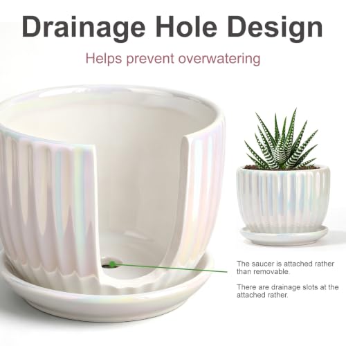 Plant Pots,Ceramic Flower Pots with Drainage Holes & Saucer Set of 3（Pearl） - color: Pearl White