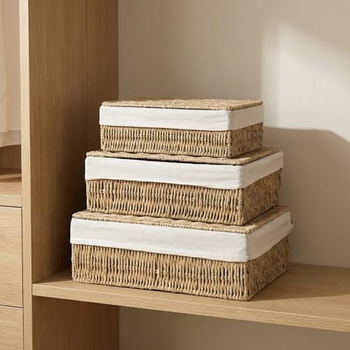 Large Storage Baskets with Lid Set of 3, Woven Bins with Liner - size: Large with Lids