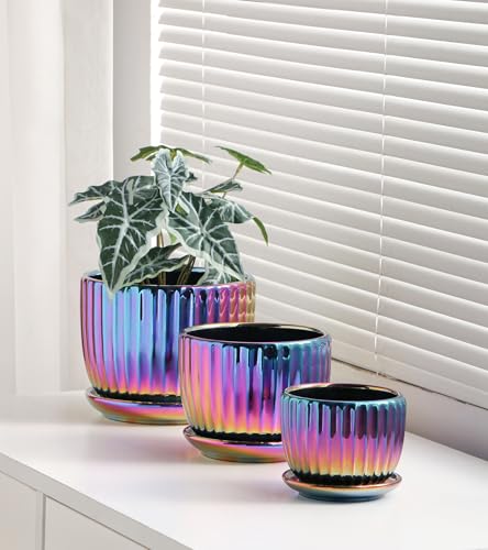 Ceramic Planters,Plant Pots with Drainage Holes & Saucers Set of 3(Purple) - color: Purple