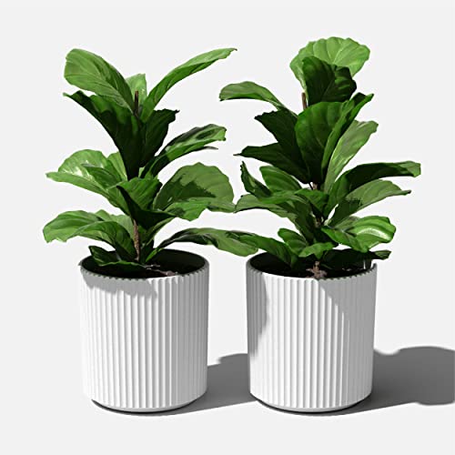Veradek Demi Series Planter - Large Round Outdoor Planter - color: White, size: 16 inch - 2 Pack