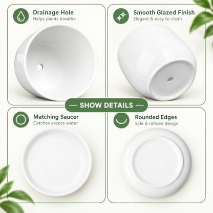 6.7 + 5.5 Inch Ceramic Plant Pot with Drainage and Saucer - size: 6.7 + 5.5 Inch 2 Pcs