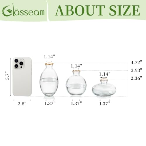 Glasseam Glass Bud Vase for Centerpieces, 6Pcs Clear Small Flower Vase Set - color: Gold Rim, size: 2 Sets