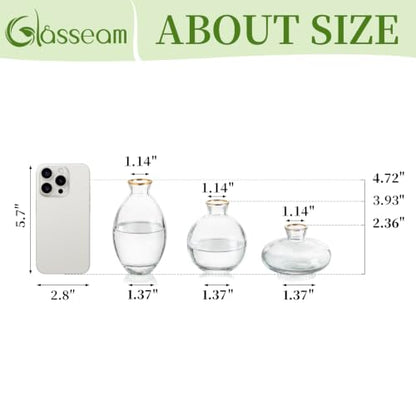Glasseam Glass Bud Vase for Centerpieces, 6Pcs Clear Small Flower Vase Set - color: Gold Rim, size: 2 Sets