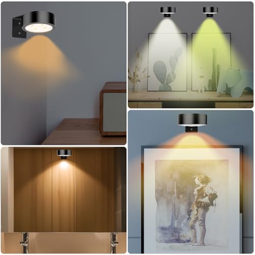 Rechargeable Battery Painting Light Picture Lights with Remote Control, Magnetic LED Art Lights for Framing, Dimmable and Timer-Equipped, 3 Lighting Modes,3Pack White - color: White, size: 3 Pack