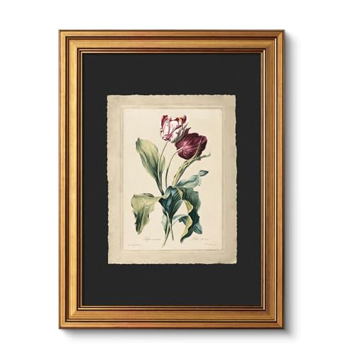 VIYYIEA Vintage Gold Framed Wall Art, Aesthetic Botanical Red Tulip Canvas Prints Paintings, Farmhouse Still Life Decor Artwork For Kitchen Bathroom Bedroom, 12x16inch - color: Tulip Illustration, size: 16"L x 12"W
