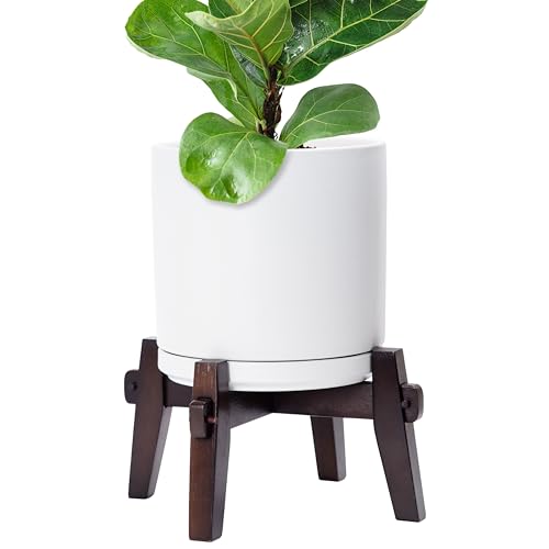 D'vine Dev Ceramic Planter with Wood Stand - 10 Inch Mid Century Modern Cylinder Indoor Plant Pot Set for Indoor Plants & Flowers, White, 55-A-X-1 - size: 10 inch
