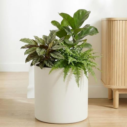 10 Inch Beige Metal Plant Pot with Drainage Hole, Indoor Outdoor - color: 10 Inch Beige