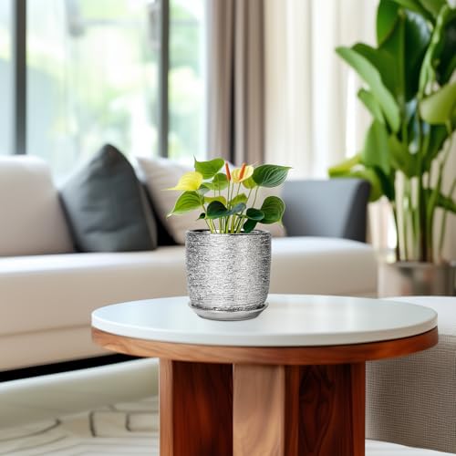 Ceramic Plant Pot 5 Inch, Indoor Planter with Drainage, Silver - color: Silver, size: 5.3 Inch