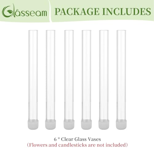 Glasseam 6Pcs Glass Bud vase for Candle Holder, 7.87" Tall Small Vases Set - size: 7.87“ Tall