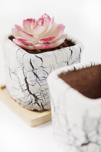 Ceramic Planter Pots w/Drainage, 3 Inch Set of 2, Indoor Outdoor Home Patio Garden Plants Flower Succulent, Crackle-Texture Square - style: Crackle-Texture Square-3" (2 pack)