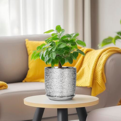 Ceramic Plant Pot 5 Inch, Indoor Planter with Drainage, Silver - color: Silver, size: 5.3 Inch