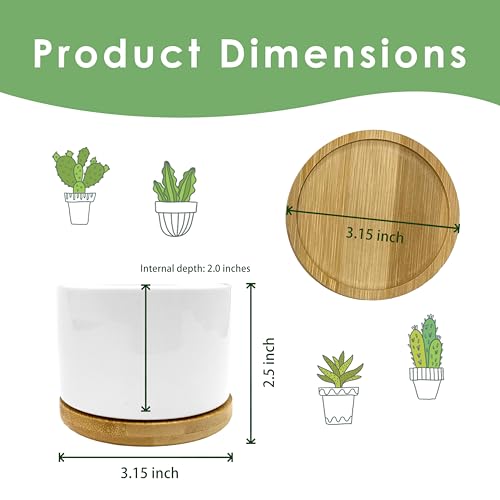 Inspirational Mental Health Gifts Plant Pots Planters - color: Style a -S