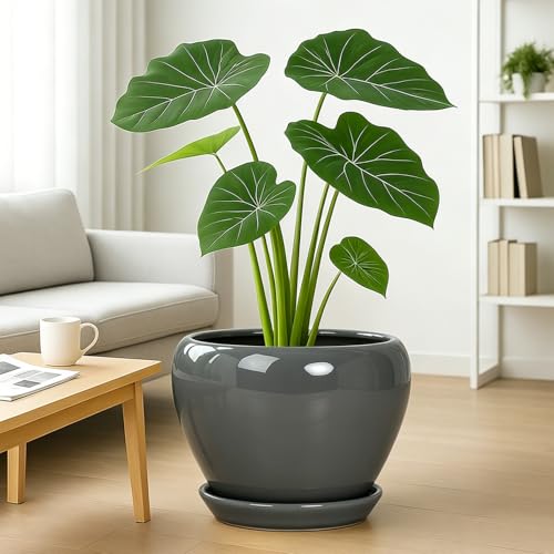 Deep Dream 10 Inch Plant Pot- Ceramic Planter Pot Round Plant Pots for Indoor Plants Outdoor Large Flower Pot with Drainage Holes & Trays, Grey - color: Gray, size: 10 Inch