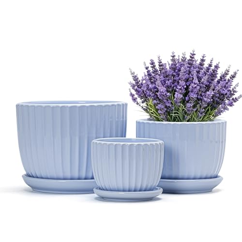 Flower Pots，Ceramic Pots with Drainage Holes & Saucers Set of 3(Sky Blue) - color: Blue