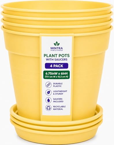 Mintra Garden Pots, 4 Pack Bulk Plastic Plant Pots with Drainage Tray, Round Indoor & Outdoor Decorative Planters with Drain Holes for Flowers, Herbs & Plants, 17cm Diameter – Yellow, 6.6 in - color: Yellow, size: 17cm Diameter (6.6in)