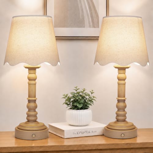 ShineTech 14" Small Table Lamps for Bedroom Rechargeable Cordless, Set of 2 - color: Brown
