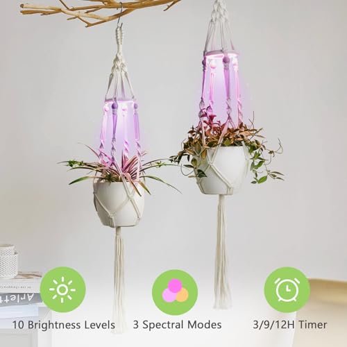 Macrame Plant Hangers - Beautiful Plants in Low Light - color: Plant Hanger Ivory(growpro)