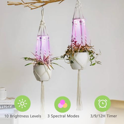 Macrame Plant Hangers - Beautiful Plants in Low Light - color: Plant Hanger Ivory(growpro)