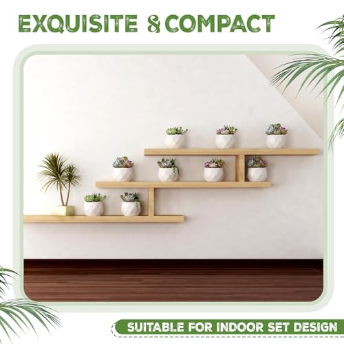 24 Pack 2.5 Inch Small Succulent Pots, White, Fashion - style: Fashion